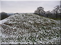 Penrhos Castle motte, Monmouthshire