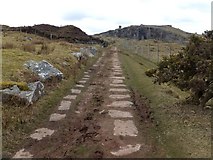 SX2672 : Path paved with stone to help transport quarried stone by David Smith