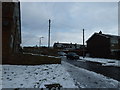 Looking from Sharps Copse towards Froxfield Road