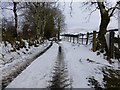 Road at Glenroan