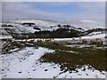 Sheep, Glenroan