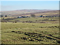 Rough pastures around Black Burn between Hill House and Halton Lea