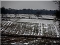 Fallow fields and snow