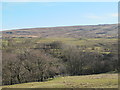 The valley of Hartley Burn east of Midgeholme