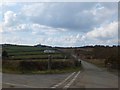 Signpost and cattle grid on Treslea Downs