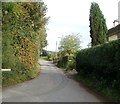 Pen y glog Road, Llandegveth