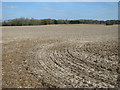 View towards Three Acre Plantation, Worlingham