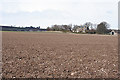 Ploughed Land at Balcathie