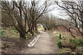 Ayrshire Coastal Path