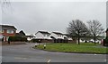 White houses in The Meadows