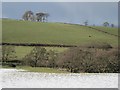 Ewe and lamb, Heriot Water