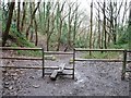 Public footpath through former quarry