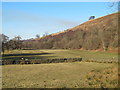 Haugh by the River South Tyne at Parson Shields