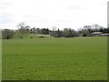 Arable field east of Horsley Marsh