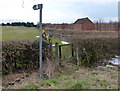 Footpath to East Langton