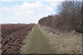 Path by the railway