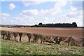 Farmland east of Redrice Road