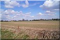 Farmland by Fullerton Road