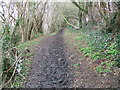 Muddy path near Ashdon