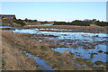 Tidal Creeks