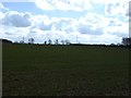 Farmland off Wells Road