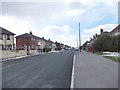 Looking back along Throstle Terrace