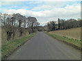 Wansdyke crosses un-named road by South Lodge