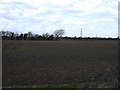 Farmland near Stallingborough 