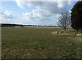 Farmland off Crook Mill Road