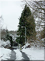 Footpath on Goldthorn Hill, Wolverhampton