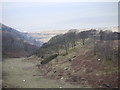 View down valley to Friog