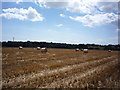 Bales near Lodge Farm