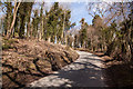  Road Between Ford and Castle Combe