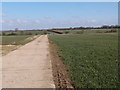 Farm track near Leaden Hall