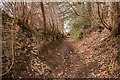 Bridleway to Nettleton Shrub