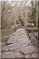 Footbridge over Broadmead Brook