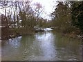 River Nene