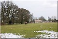 Horses grazing near Rose Farm