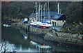 Boats at Solva Quay