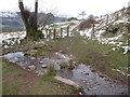 Stream below the Darren near Cwmyoy