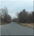 Road through woodland near Synod Mill