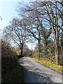 The Lane to Cwmtydu