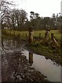 Gateposts at Currell