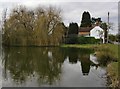 The village pond, Coleshill