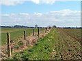 Footpath to Billet Road