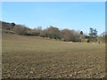 Farmland south of Farnley Oaks