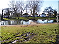 The pond in Swan Lane Park