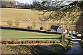 Mid Devon : Country Road