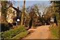 Mid Devon : Country Lane