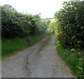 Lane to Aberclydach Fach